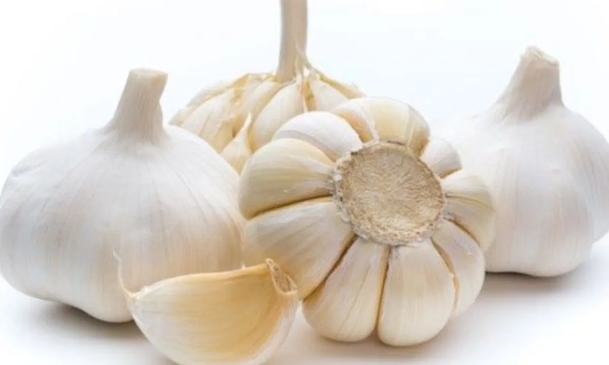10 Bahan Makanan yang Sebaiknya Jauh dari Kulkas, Dari Bawang hingga Madu!