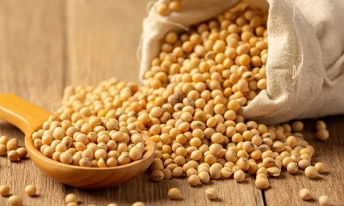 12 Manfaat Kacang Kedelai untuk Kesehatan yang Jarang Diketahui