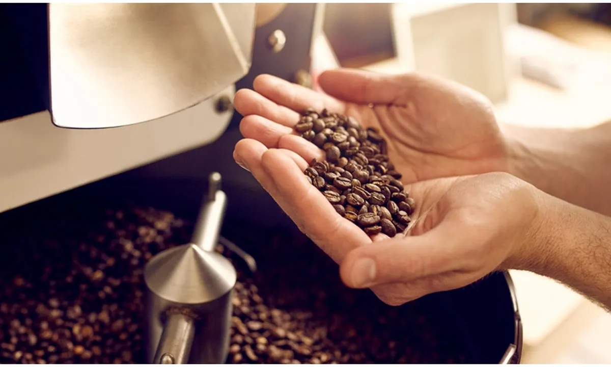 3 Perbedaan Rasa Pada Kopi Berdasarkan Jenis Roasting, Dari yang Pahit hingga Keasaman