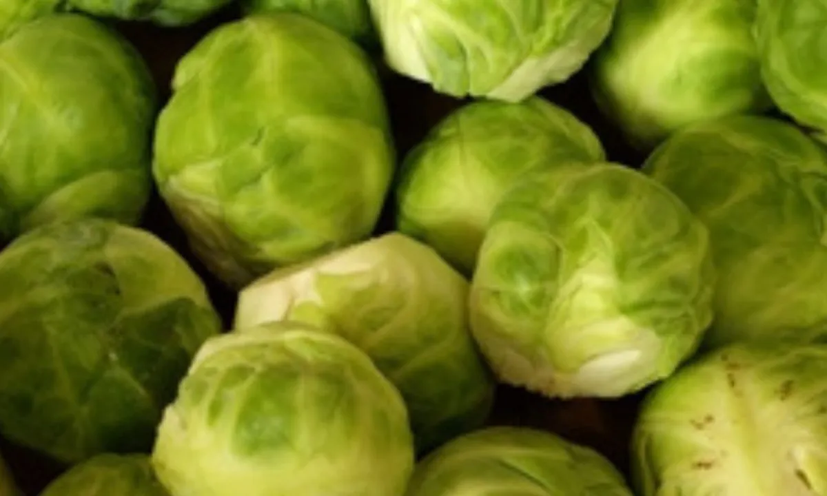 4 Kreasi Sayur yang Wajib Dihindari oleh Penderita Kolesterol