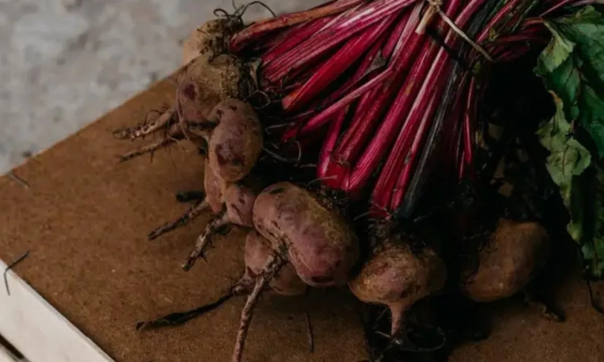 4 Resep Lezat dari Buah Bit yang Ampuh Turunkan Kolesterol