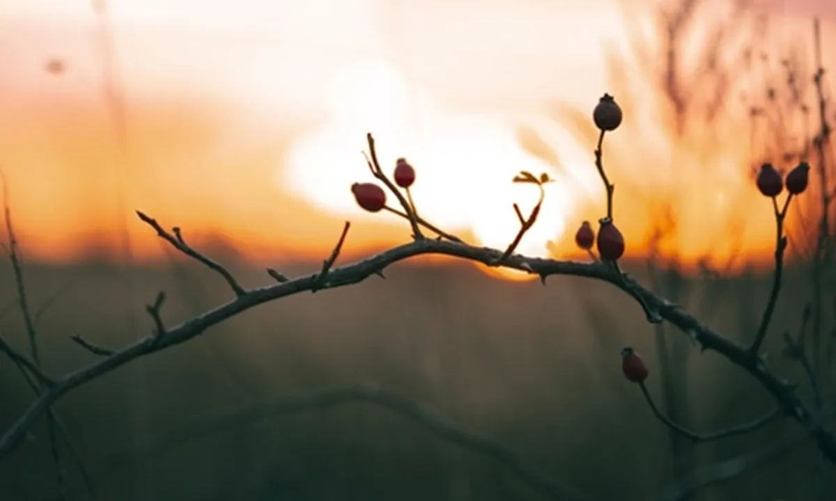 40 Caption IG Tentang Alam yang Keren dan Menyentuh