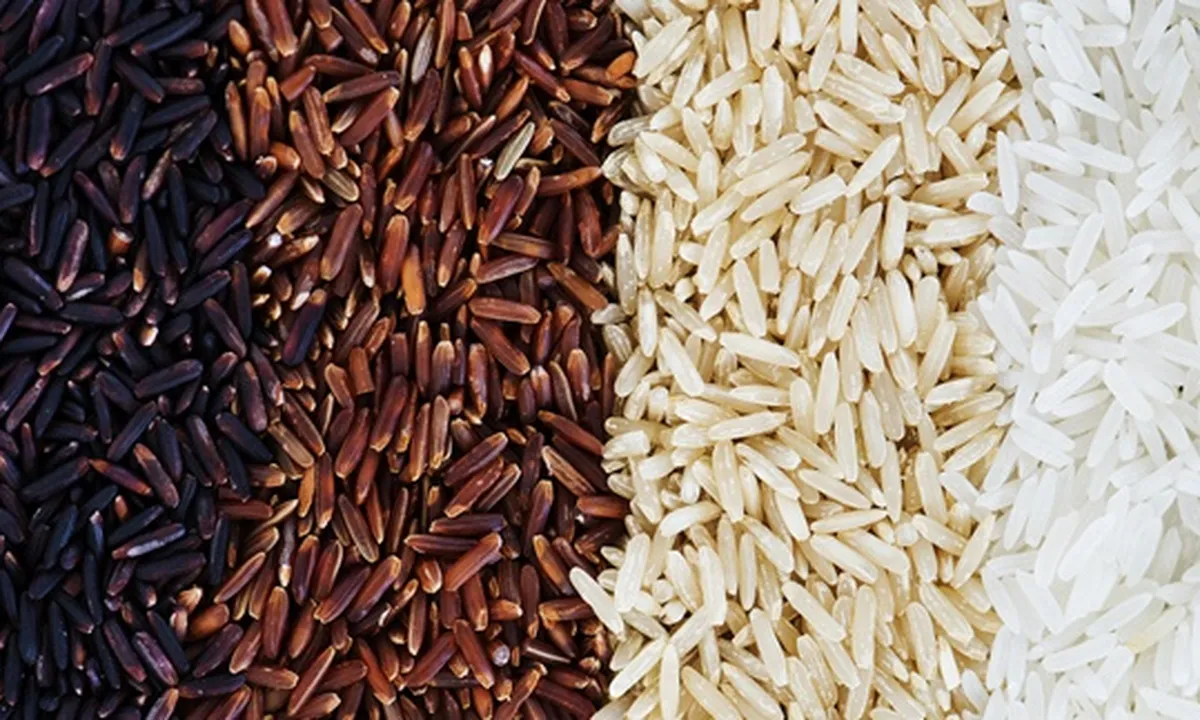5 Jenis Beras Beserta Ciri dan Manfaat Bagi Kesehatan, Manakah yang Favorit?