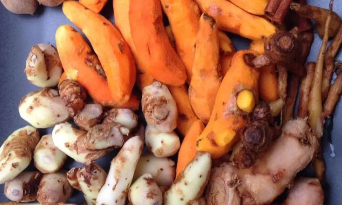 5 Ramuan Daun untuk Menurunkan Gula Darah dengan Mudah!