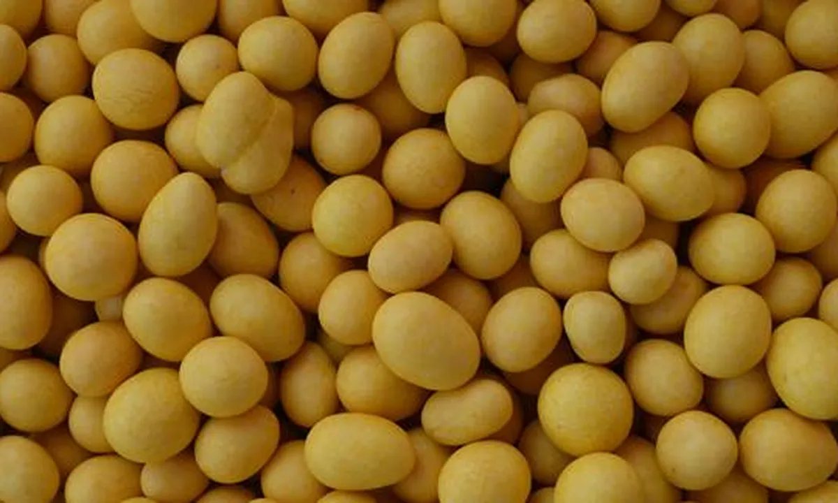 5 Resep Kacang Telur Gurih dan Renyah, Cocok Jadi Cemilan Hari Raya Idul Fitri