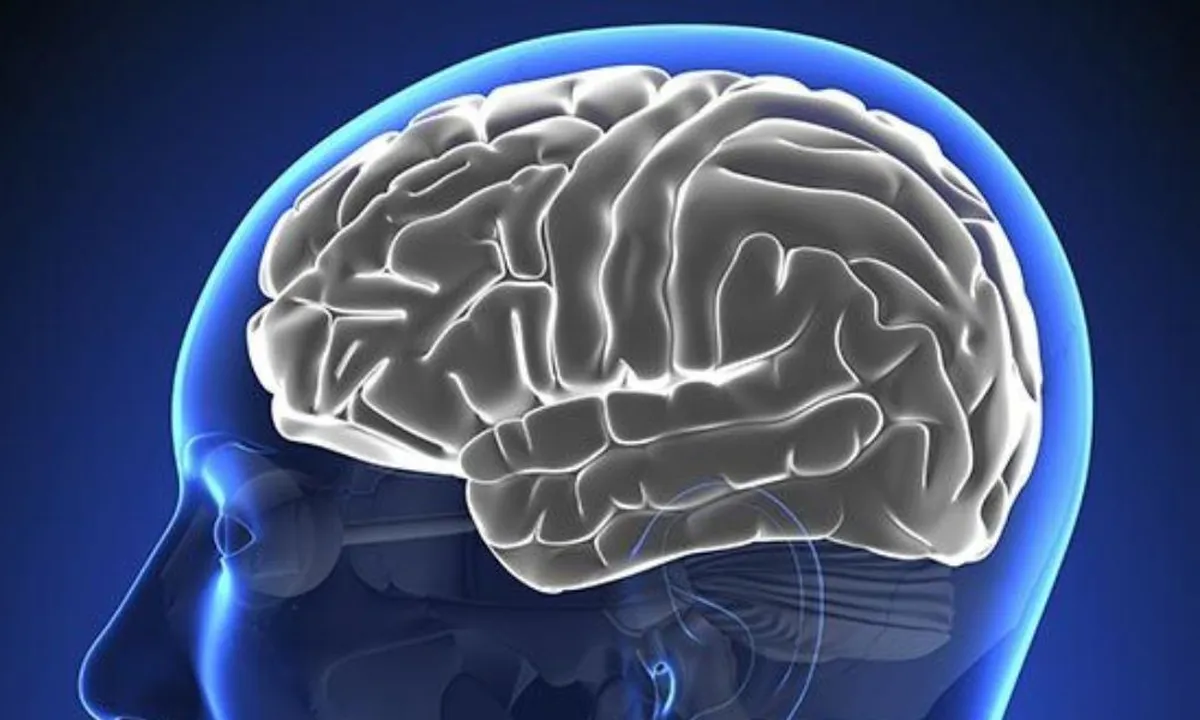 5 Strategi Ampuh untuk Menurunkan Risiko Stroke Melalui Gaya Hidup Sehat!