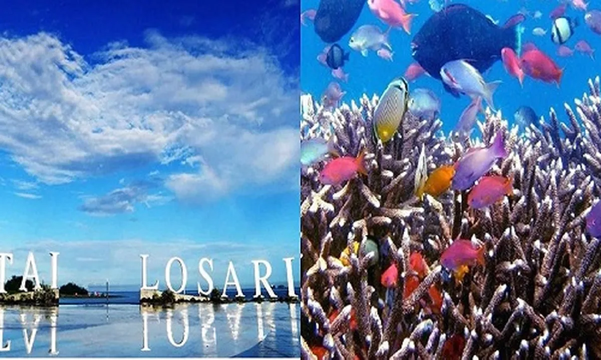 5 Tempat Wisata Di Sulawesi Selatan Yang Indah dan Mempesona