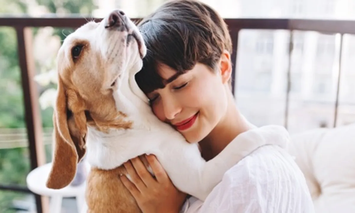 59 Kata-Kata Tentang Anjing yang Penuh Makna, Si Hewan Pintar dan Setia