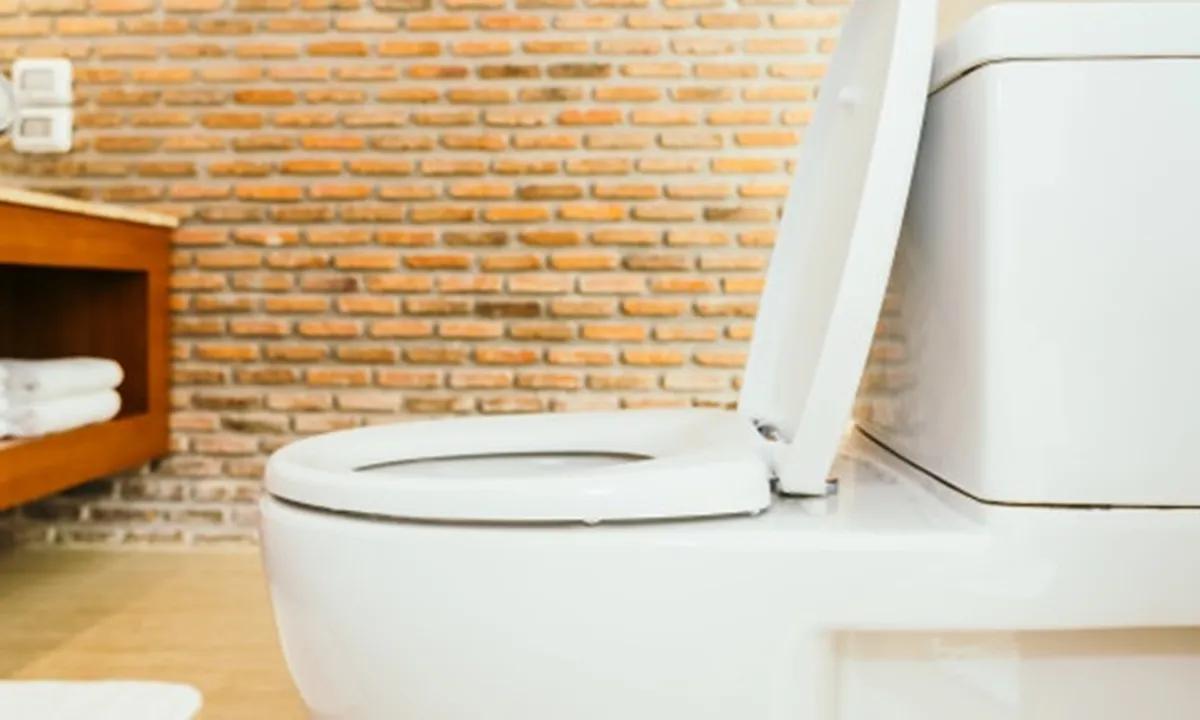 6 Cara Mengatasi WC Mampet di Rumah, Mudah Tanpa Bongkar