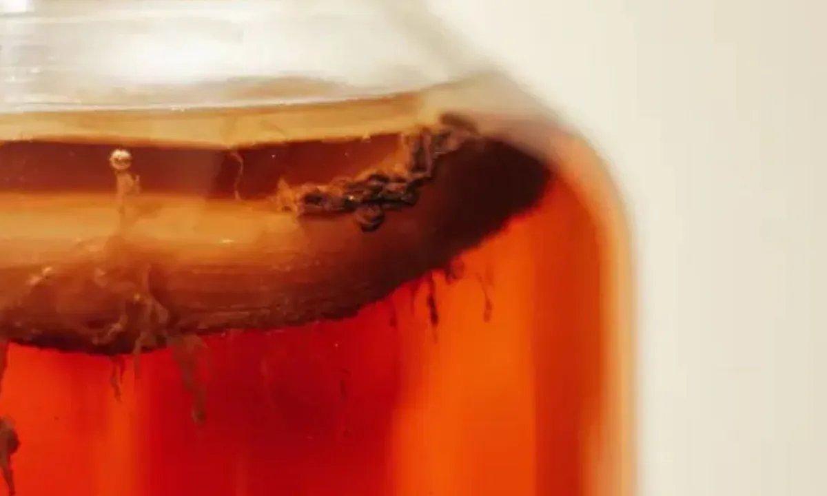 6 Keajaiban Teh Kombucha, Solusi Alami untuk Menurunkan Kolesterol
