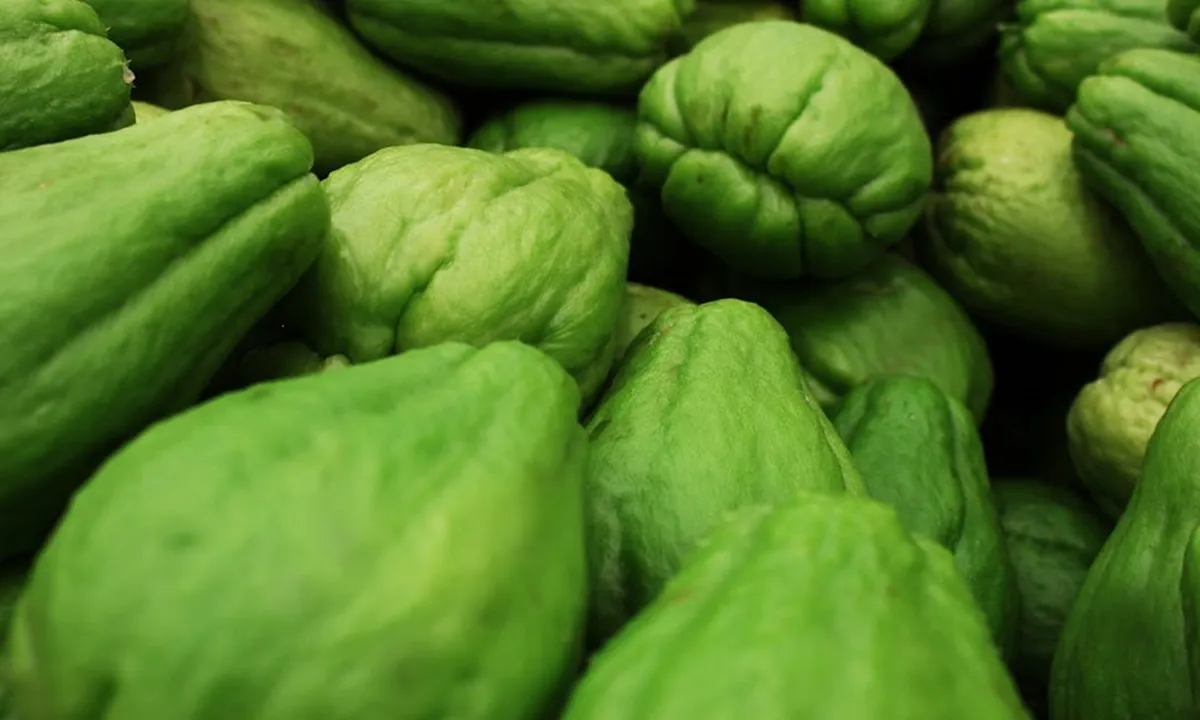 6 Kreasi Sayur Bening Labu Siam: Segar, Sehat, dan Menggugah Selera