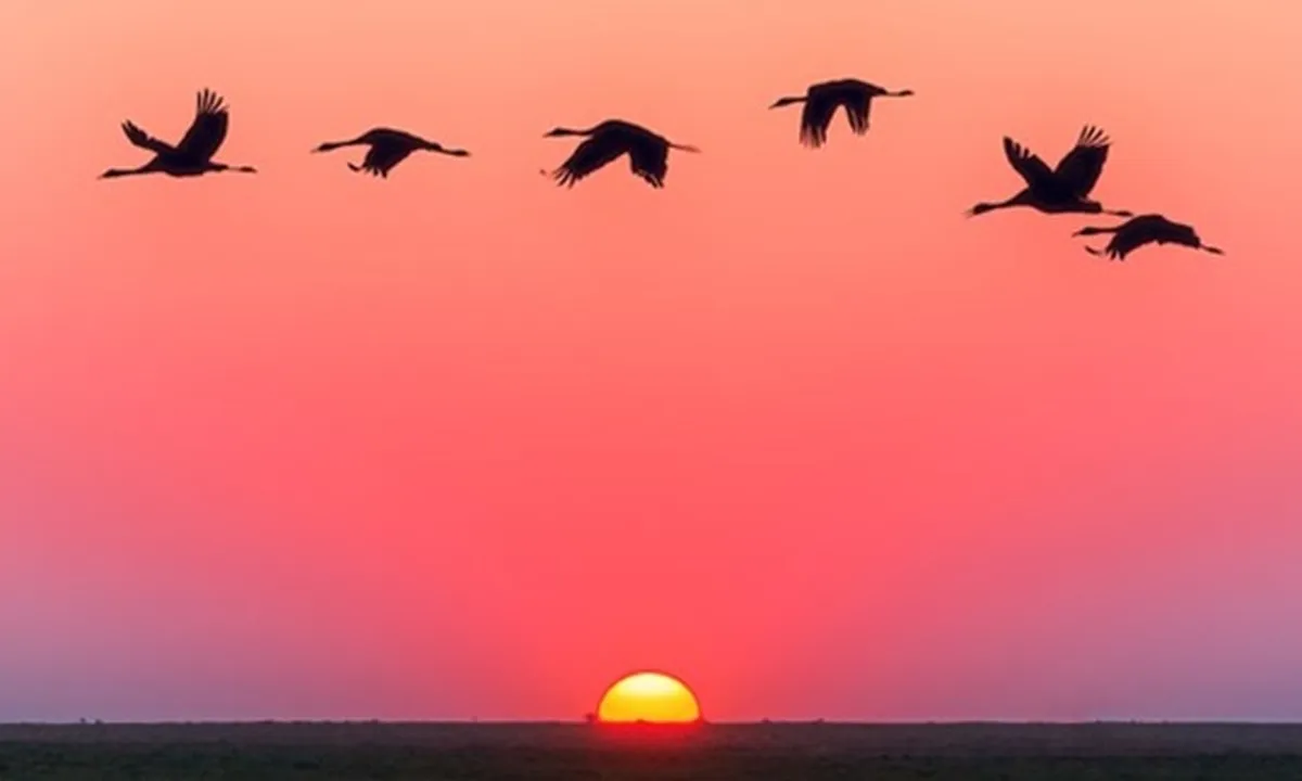 65 Kata-Kata Sunset yang Indah dan Penuh Makna, Bikin Suasana Makin Berwarna