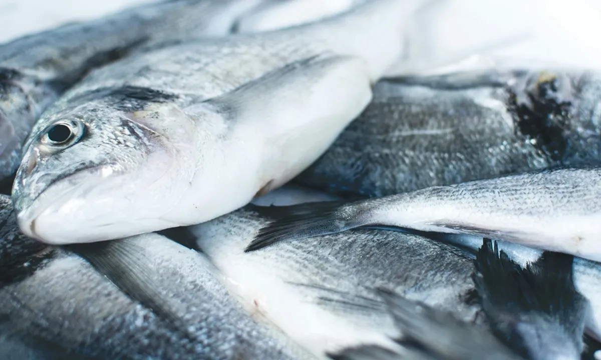 7 Arti Mimpi Ikan Banyak Mati, Punya Makna Spiritual yang Mendalam