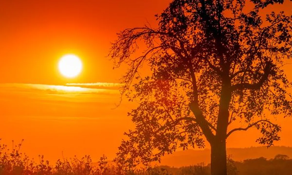 7 Arti Mimpi Melihat Matahari, Jadi Pertanda Baik dan Buruk Soal Karir - Keuangan