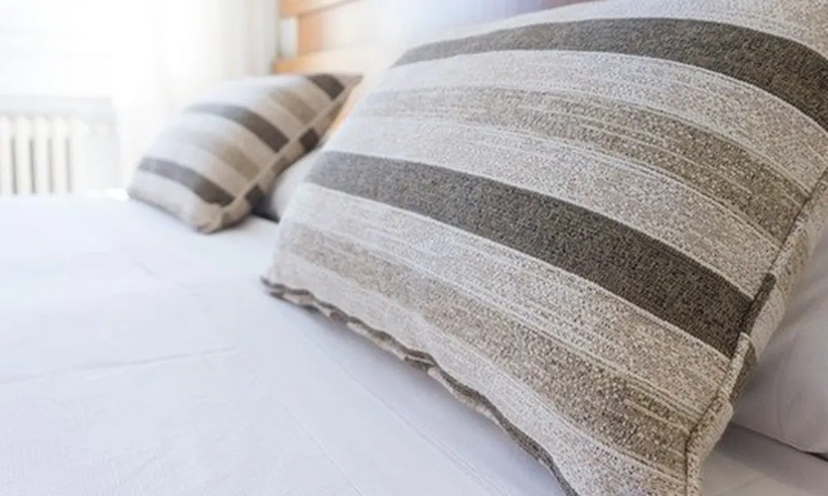 7 Cara Membasmi Kutu Kasur dengan Mudah, Bisa Perbaiki Kualitas Tidur