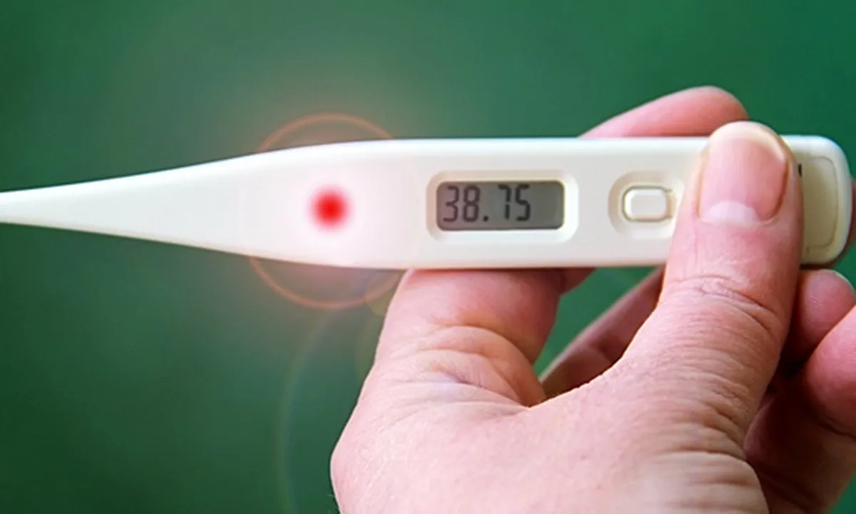 7 Jenis Termometer Beserta Ciri dan Cara Penggunaan yang Perlu Diketahui