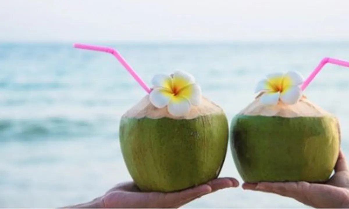 7 Manfaat Air Kelapa yang Baik Dikonsumsi Saat Berbuka Puasa