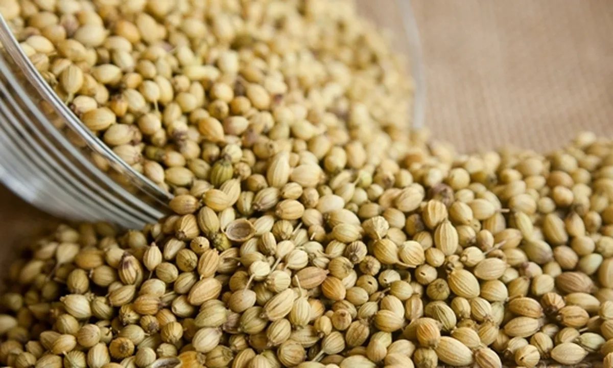 7 Manfaat Air Ketumbar untuk Kesehatan, Minuman Herbal Bantu Atasi Berbagai Penyakit