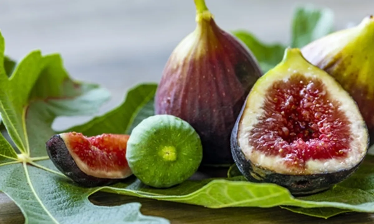 7 Manfaat Daun Tin untuk Kesehatan Tubuh, Bisa Jadi Teh Herbal yang Enak