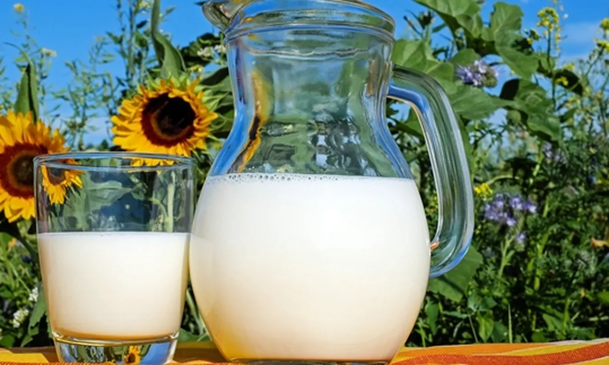 7 Manfaat Susu saat Diminum Dingin Maupun Hangat