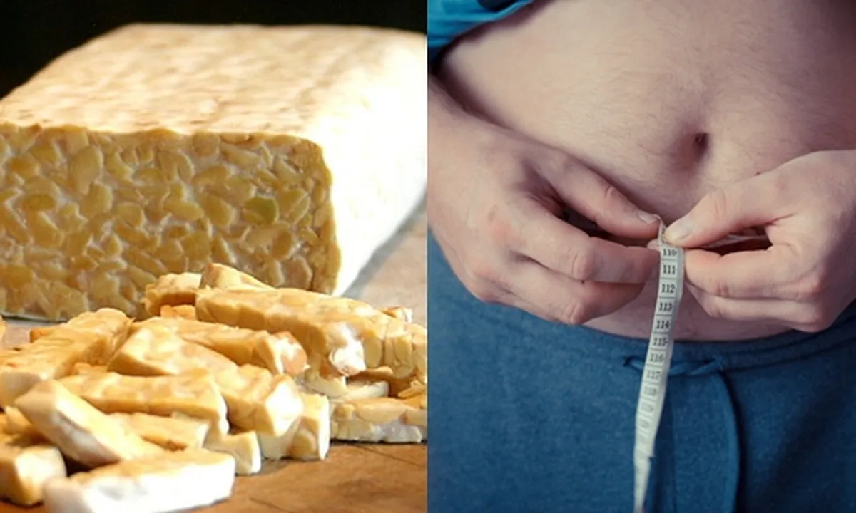 7 Manfaat Tempe Bagi Tubuh, dari Kesehatan - Kecantikan