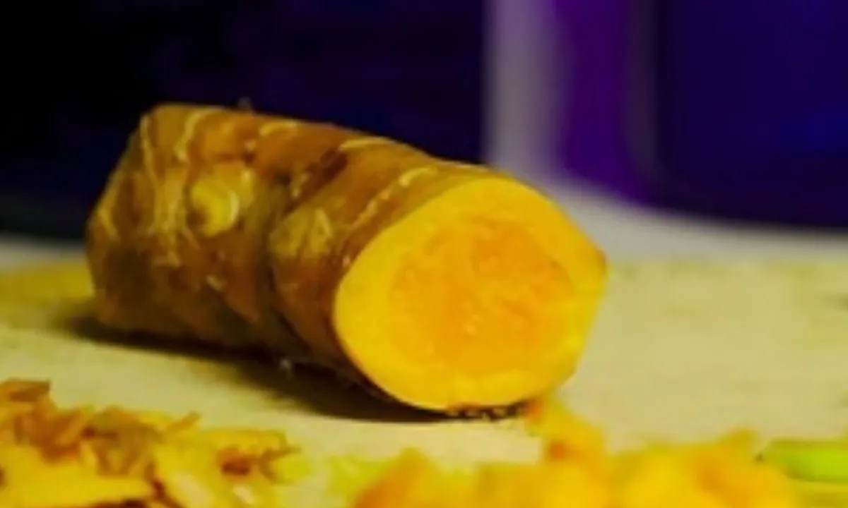7 Manfaat Temulawak untuk Penurun Kolesterol