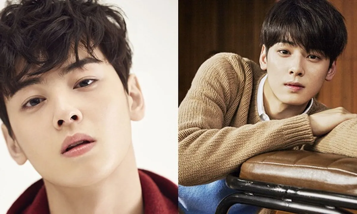 8 Fakta Cha Eunwoo, Ganteng & Pintar Tapi Malah 'Dihindari' Idola Cewek?