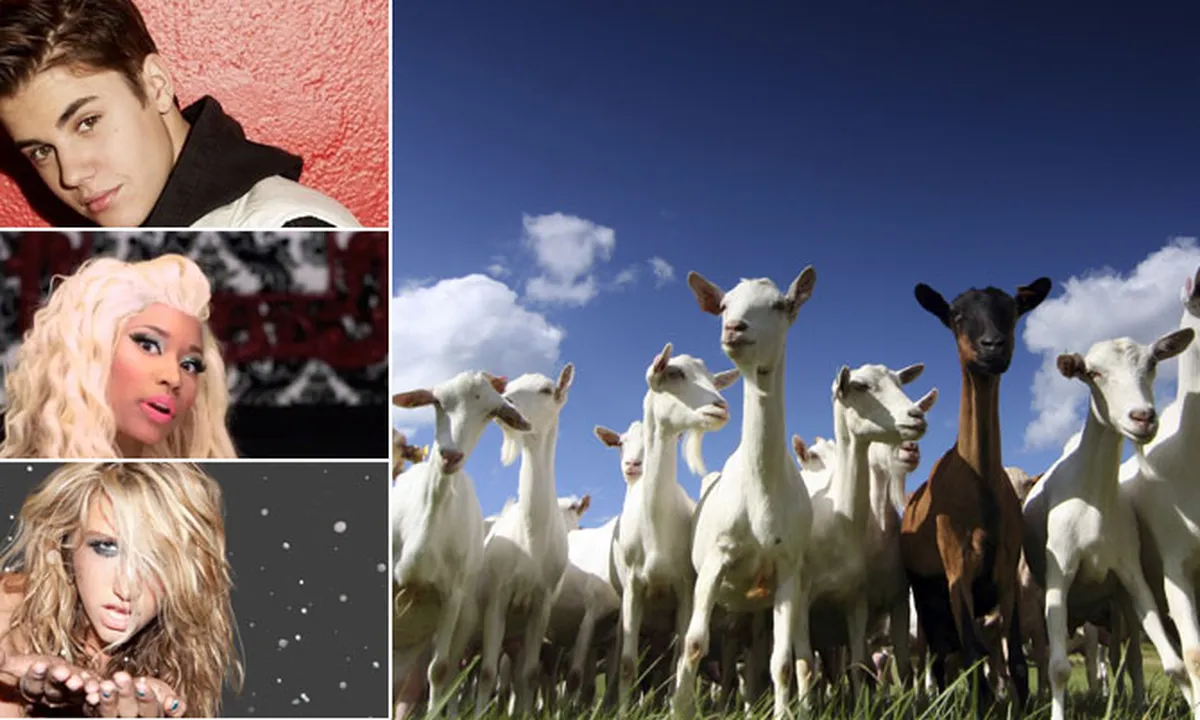 8 Goat Remix Terbaik Yang Bikin Kita Tertawa