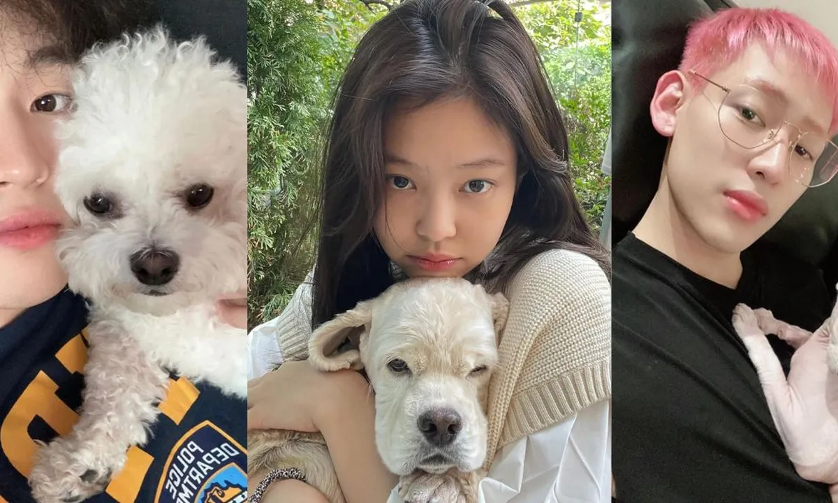 8 Hewan Peliharaan Idol K-Pop yang Mencuri Perhatian Penggemar