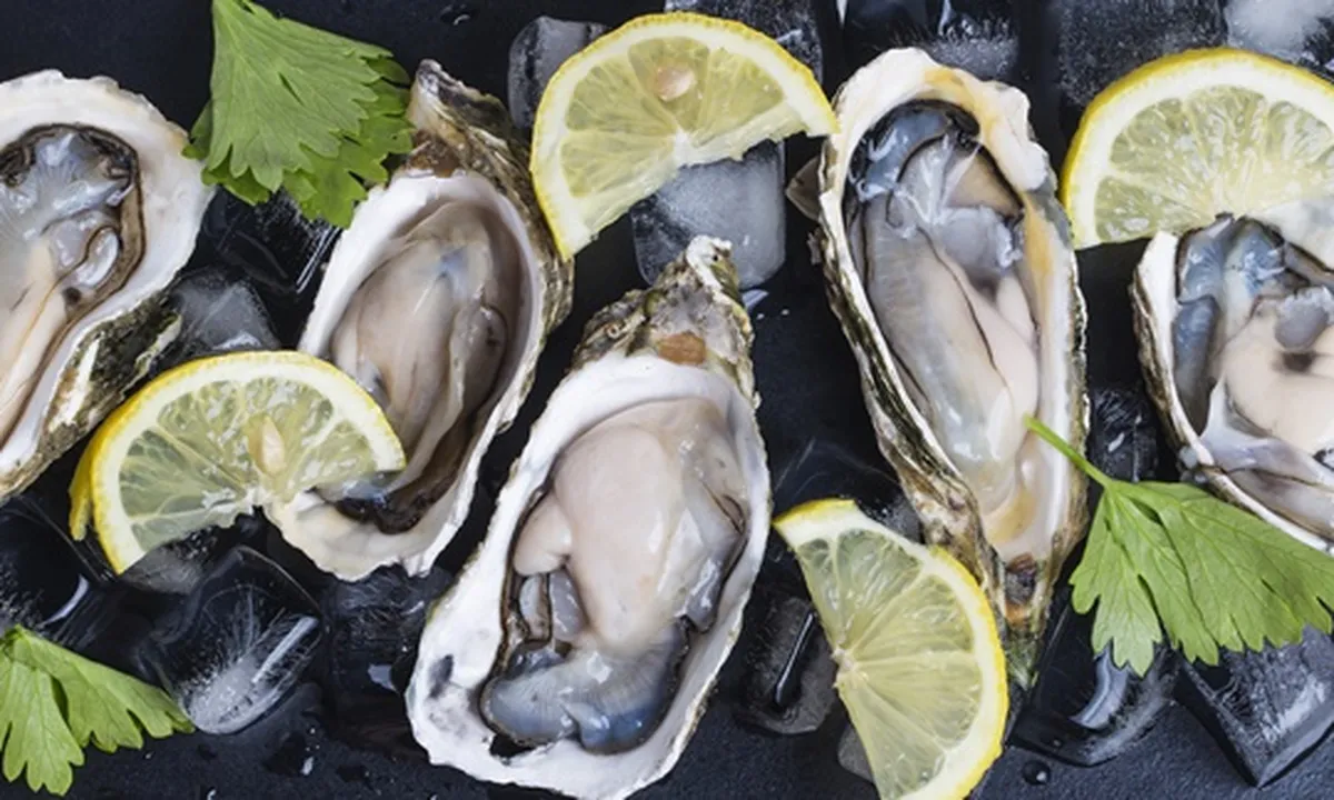 8 Jenis Kerang Laut yang Aman Dikonsumsi, Kaya Akan Nutrisi