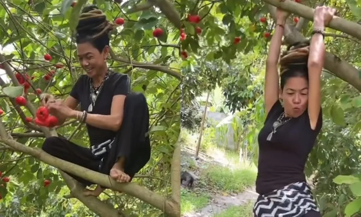 8 Jenis Pohon Buah Super Cepat Panen untuk Kebun Impian Anda!