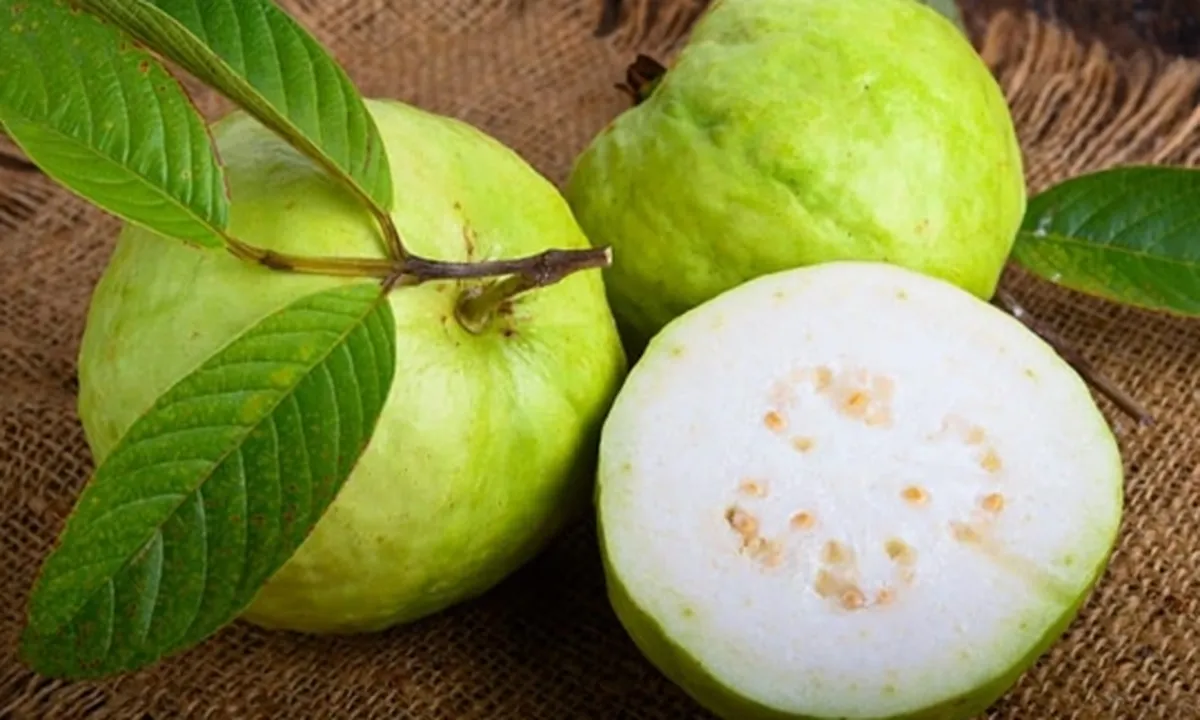 8 Manfaat Jambu Kristal untuk Kesehatan, dari Mata - Wajah