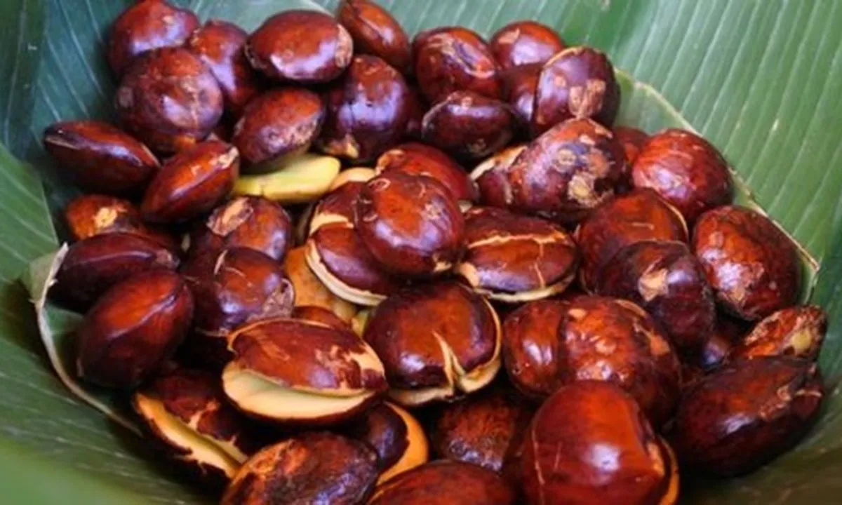 8 Manfaat Jengkol untuk Kesehatan, Obati Maag - Jantung