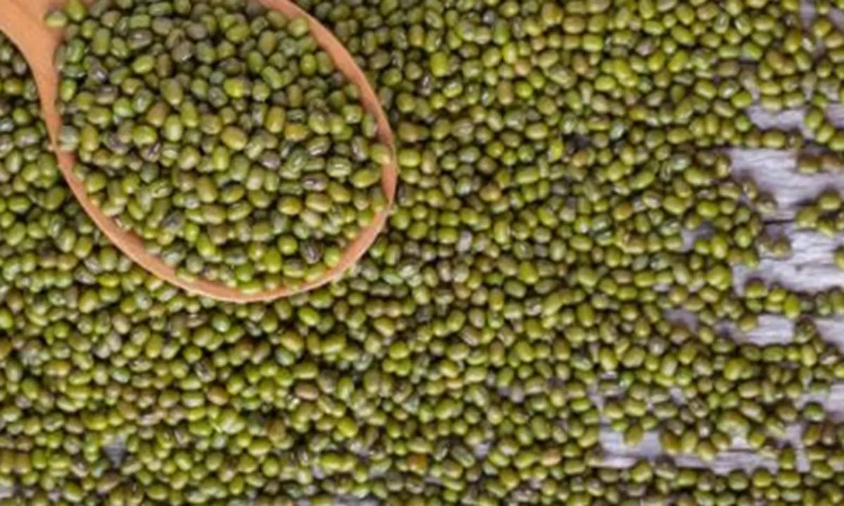 8 Manfaat Kacang Hijau yang Baik untuk Tubuh, Mengatasi Sakit PMS - Menjaga Kesehatan Janin