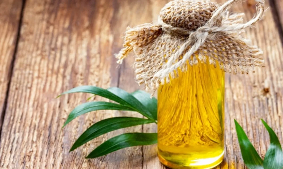 8 Manfaat Minyak Bulus Bagi Kesehatan - Kecantikan, Teruji Ampuh Kencangkan Payudara?