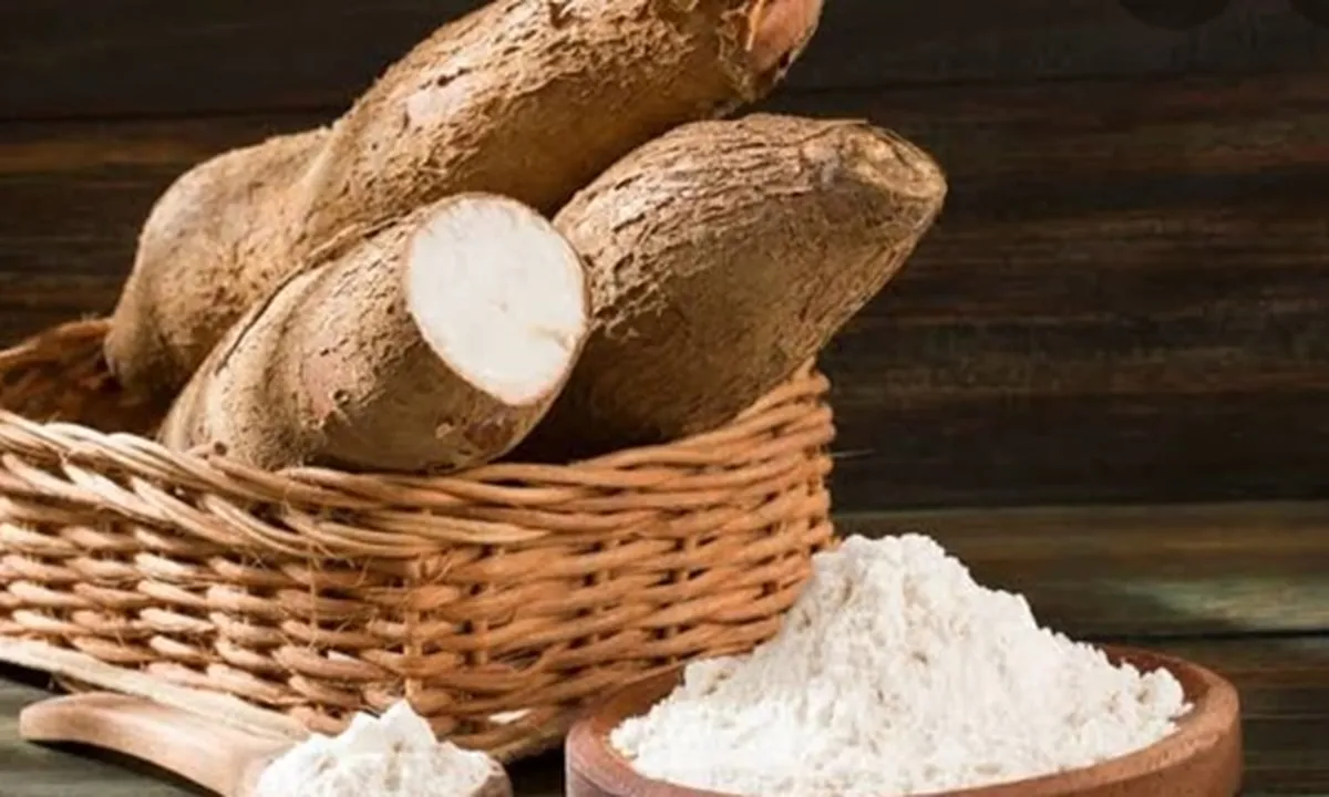 8 Manfaat Singkong Bagi Kesehatan, Mengatasi Rematik - Turunkan Berat Badan