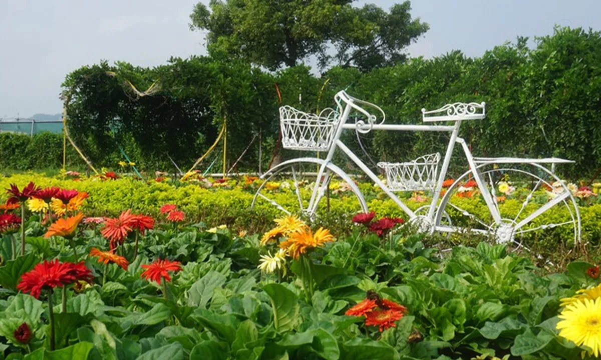 9 Destinasi Liburan Halal ala Taiwan Leisure Farm