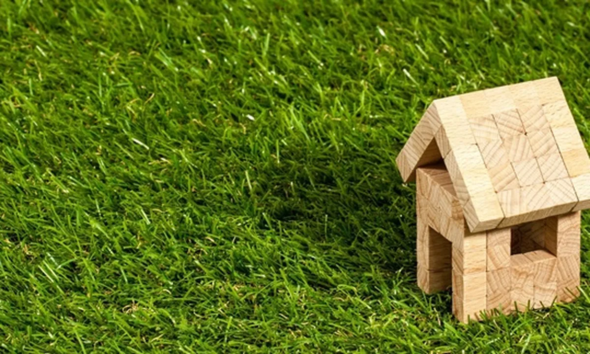 9 Jenis-jenis Rumput untuk Pekarangan Rumah, Bikin Suasana Asri