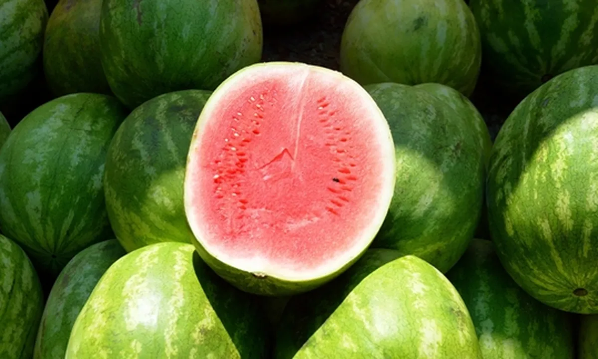 20 Manfaat Buah Semangka, Baik untuk Kesehatan Jantung - Mencegah Dehidrasi