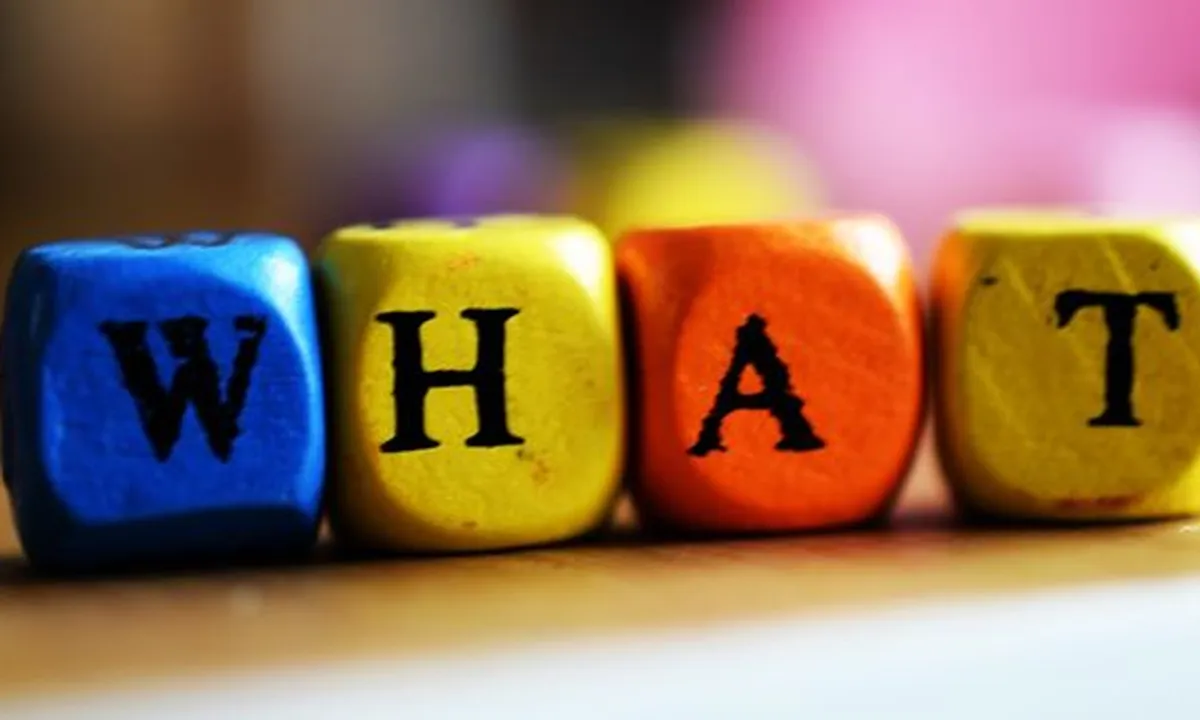 Apa Arti What dalam Bahasa Inggris? Ketahui Pula Fungsi dan Contoh Kalimat yang Benar