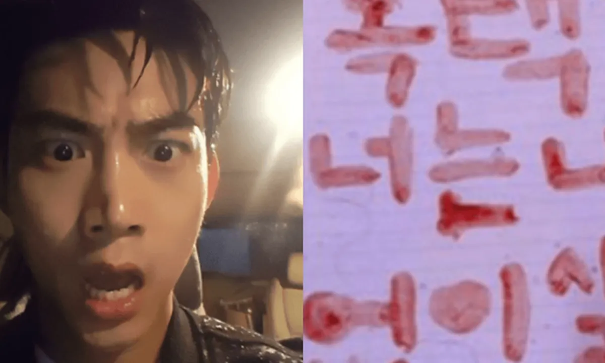 Apa Yang Perlu Kamu Tahu Soal Sasaeng, Sampai Mengacak Rumah Idola