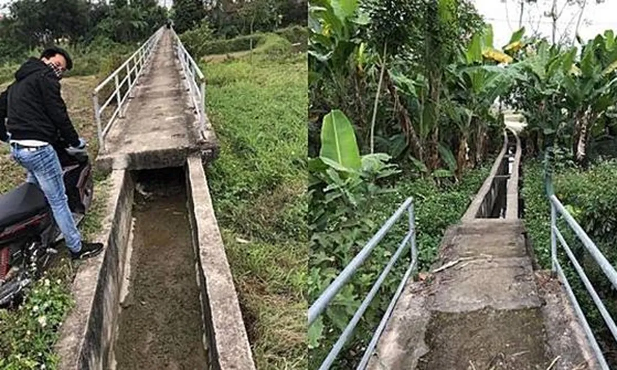 Apes, Pria Ini Ikuti Saran Google Maps Malah Nyasar Lewati Parit dan Sawah