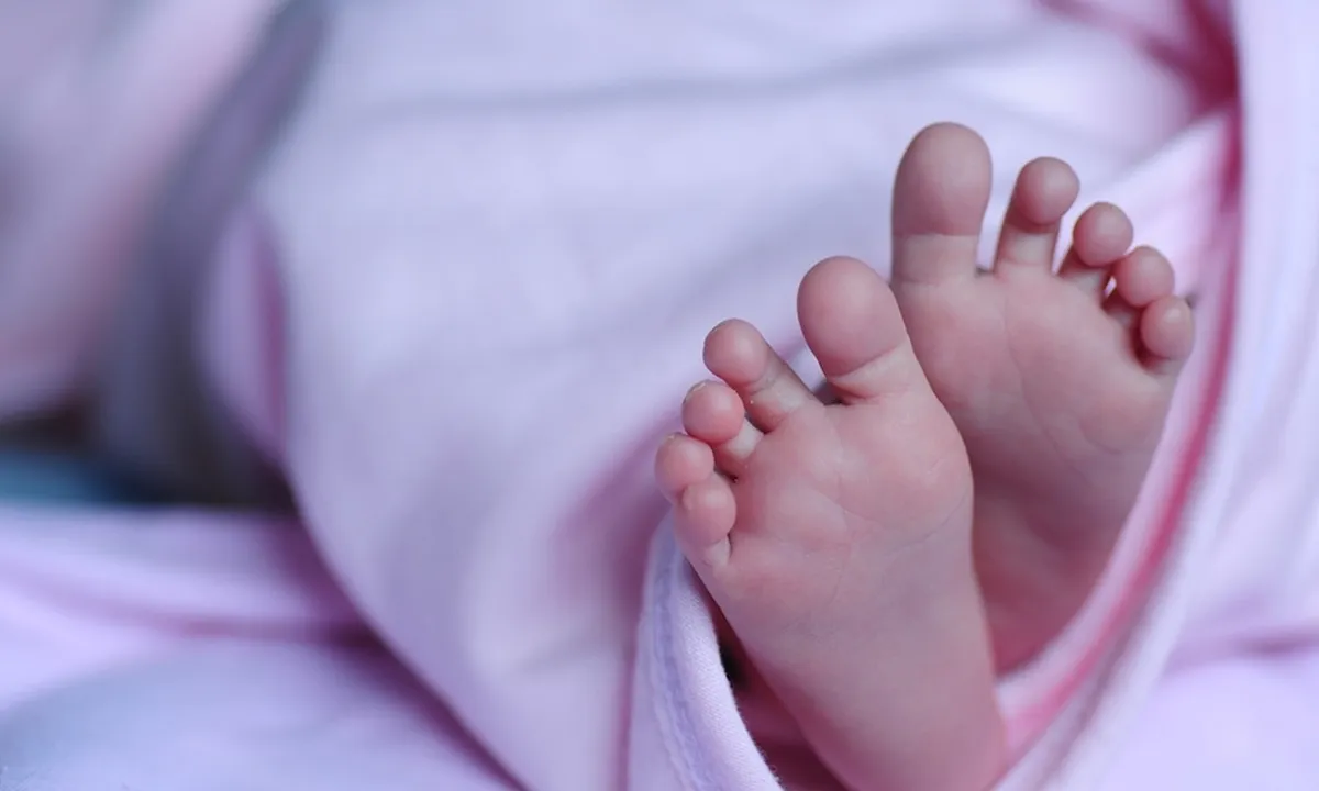 Arti Nama Aqila Beserta Nama Bayi Perempuan Islami Lainnya