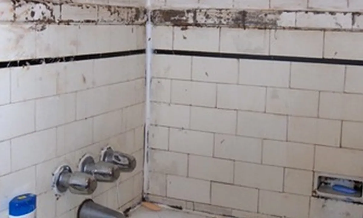 Awas Bisa Bikin Terpeleset! Ini 6 Cara Mengatasi Lumut di Kamar Mandi
