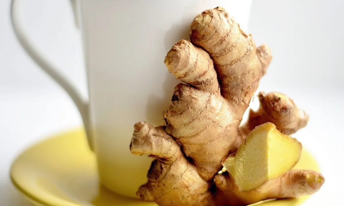Bahan Dapur untuk Obati Asam Urat: Resep dan Khasiat
