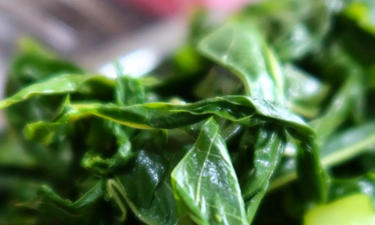 Baking Soda dan Cuka, Kunci Daun Singkong Tetap Cantik Saat Direbus