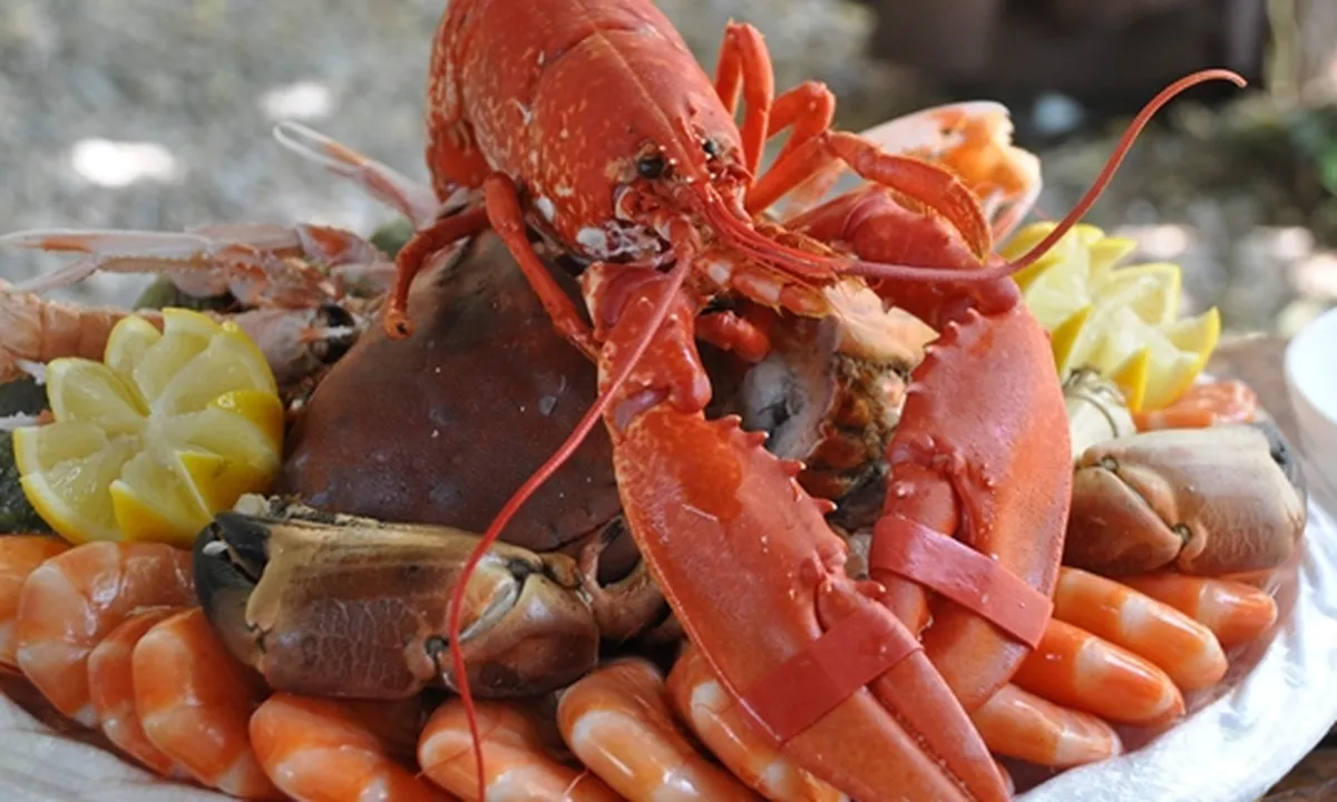 Hindari Makan Seafood Terlalu Sering, Ini 5 Makanan yang Baik Dikonsumsi Agar Kolesterol Turun