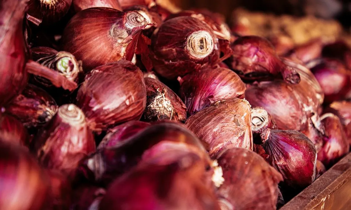 Bawang Merah Sering Busuk? Begini Solusi Sederhananya