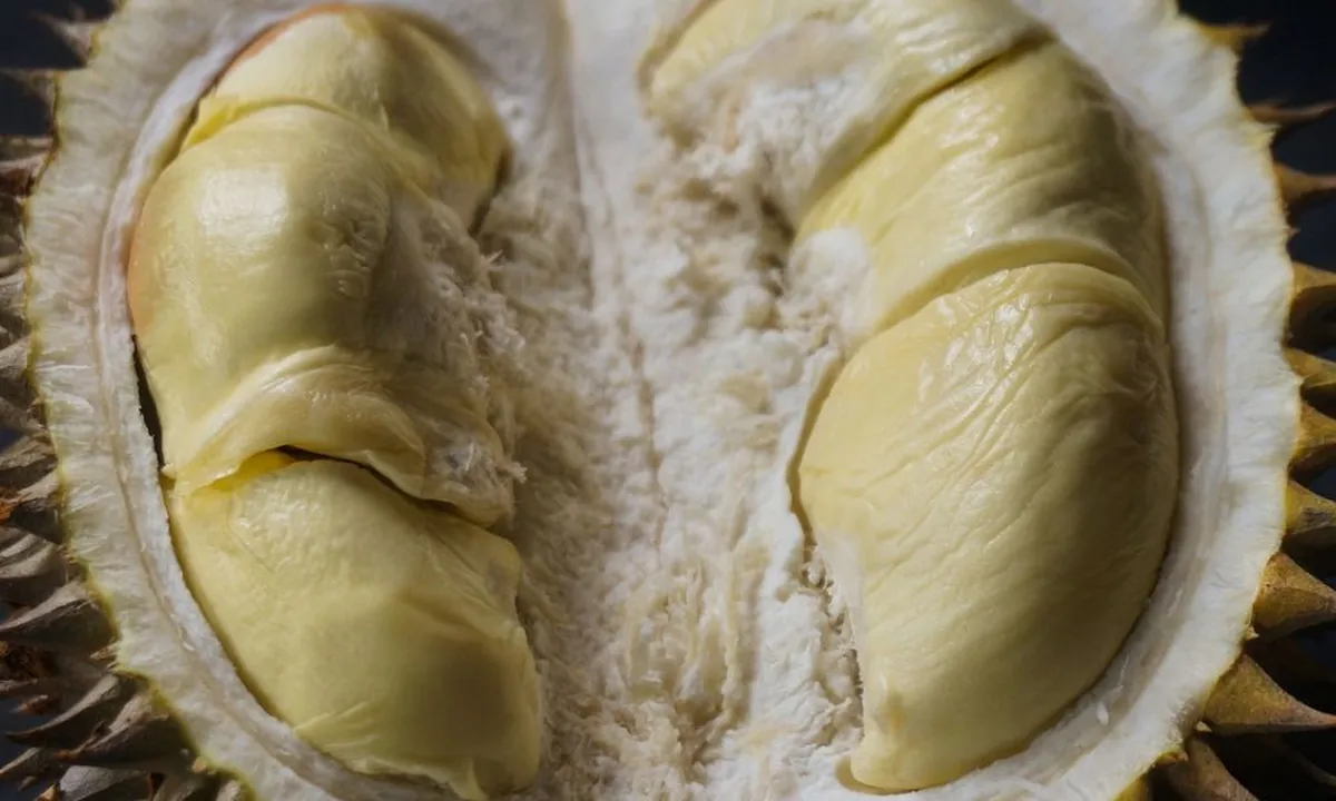 Benarkah Durian Dapat Menyebabkan Kolesterol? Simak Faktanya!