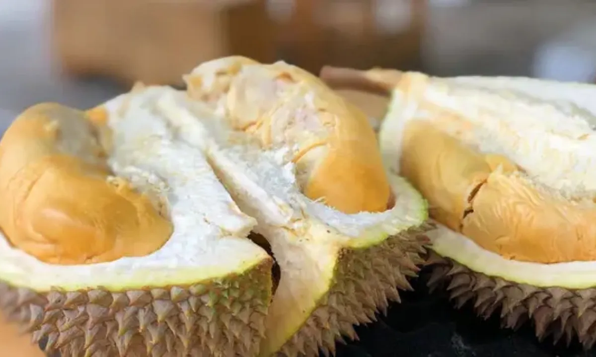 Car Menikmati Durian Tanpa Khawatir Kolesterol, Wajib Coba